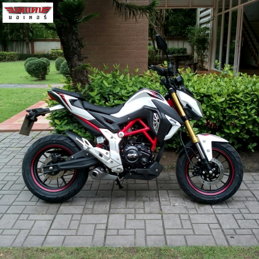 DEMON150GN